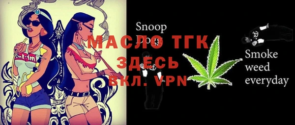 крисы Кулебаки