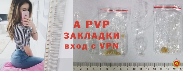 крисы Кулебаки