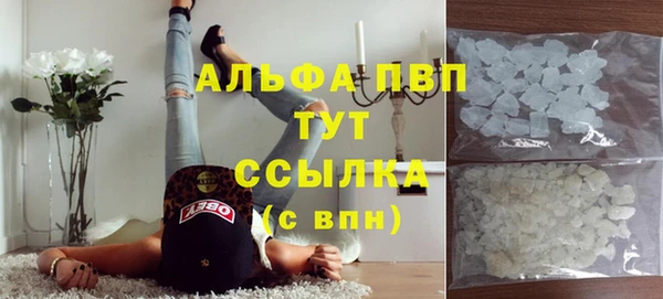 крисы Кулебаки