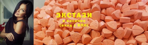 крисы Кулебаки