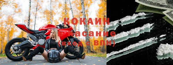 крисы Кулебаки