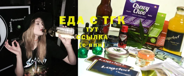 крисы Кулебаки