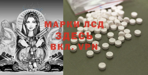 крисы Кулебаки