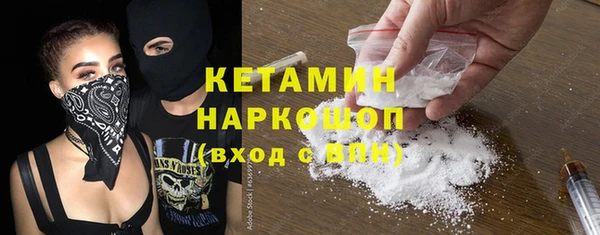 крисы Кулебаки