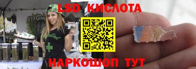 индика Кандалакша