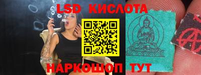 индика Кандалакша
