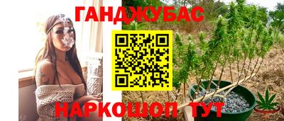 индика Кандалакша