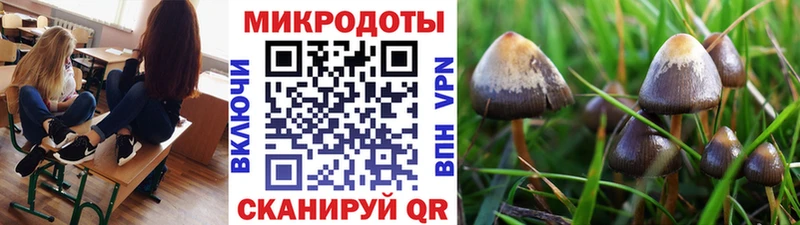 Псилоцибиновые грибы ЛСД что такое наркотик Стрежевой