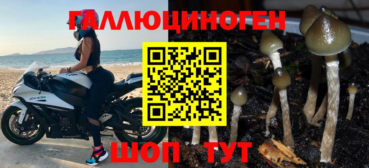 наркотики  Вход с VPN  Стрежевой  Псилоцибиновые грибы MAGIC MUSHROOMS 