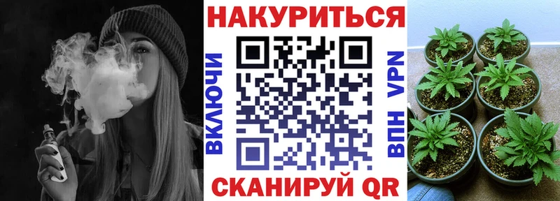 OMG ссылки  Стрежевой  Бошки марихуана ГИДРОПОН 